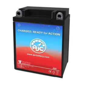 Ajc 688624528850 Battery Compatible With Jenoptik 150 Vespa Et4 150cc Scooter And Moped