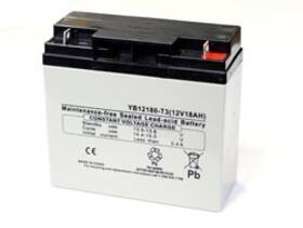 Bulbsandbatteries Rbc11 Replacement Battery For Apc Ups 12.00v