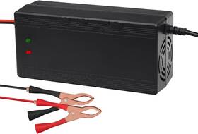 Drghgh 313051177141 Lifepo4 24v10a Battery Charger For Lithium Iron Phosphate/lifepo4 Rechargeable B