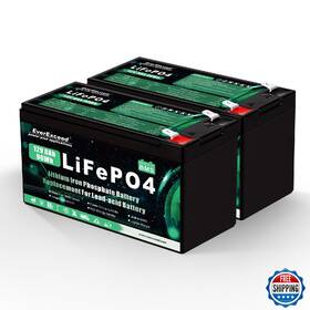 Everexceed B0fcs3nhmr 12v 8ah Lifepo4 Battery 3000 Deep Cycles Lithium For Sol