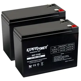 Exp12100-q02 Expertpower Used 2pcs 12v 10ah Agm Sla F2 Rechargeable For S350 Schwinn Scooter Battery