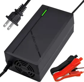 Hiximi 313110198117 14.6v 5a Lifepo4 Battery Charger Lithium Charging For Spray Doorbell F