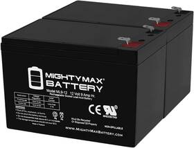 Mighty Max Battery 313042554555 12v 9ah Sla Replaces Bright Way Group Bw 1290 F2-2 Pa