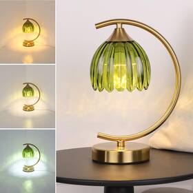 Shenmoyl B0fvfc3gcd Tulip Table Lamp 5200mah Cordless Touch Control With 3 Colo