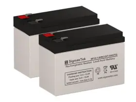 Sigmastek 618417123238 Apc 1000 Ups Replacement Batteries - Set Of 2