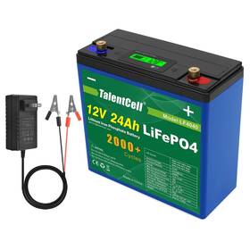 Talentcell Lf4040 12v 24ah Lifepo4 Battery Pack 12.8v 288wh Deep Cycle Recha