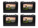 Powerstar Heavy Duty 12V Flooded Lead Acid Battery, Replaces Trojan T1275 X4 New. Price: $1099.99.