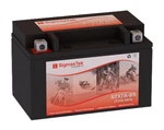 Sigmastek Battery Replacement For E-ton 150CC Sport 150, 2010-2012 Rechargeable New. Price: $23.99.