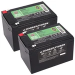 12AH 12V Deep Cycle Batteries For Go-go Ultra X & Elite Traveller New. Price: $129.95.