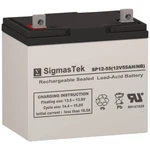 12V 55AH Deep Cycle Sla SP12-55 (nb) NF22 Maintenance-free Battery By Sigmastek New. Price: $117.99.