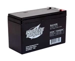 Interstate Batteries 12V 8AH Battery (SLA1079) Rechargeable Sealed Lead Acid ... New. Price: $54.57.