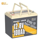 Power Queen 12V 100AH Bluetooth Group 24 LIFEPO4 Battery Bms For Solar Rv Marine New. Price: $307.99.