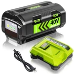 Zxfcfo 6.0AH Battery Replace For Ryobi 40V 1PACK+CHARGER, Green New. Price: $90.99.