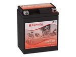 Sigmastek STX7L-BS Sla Battery Replacement For Honda SH150 150CC 2010-2012 New. Price: $23.99.