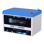 Mighty Max 12V 12AH Lithium Replacement Battery For Enduring 6FM12, 6-DW-12 New. Price: $79.99.