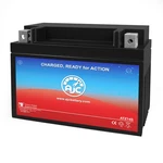 Ajc Battery Compatible With Kawasaki KRT800 TERYX4 783CC Utv (2018) New. Price: $54.49.