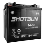 Shotgun YTX14-BS Replacement Powersports Battery For 2009 Vespa Gts 250 New. Price: $49.98.
