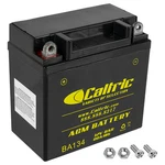 Agm Battery For Honda 1984-1985 New. Price: $39.00.