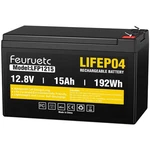 12V 15AH Deep LIFEPO4 Battery 3000+ Cycles Maintenance-free Fish Finder New. Price: $40.68.