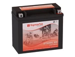 Sigmastek STX20HL-BS Battery New. Price: $62.99.