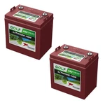 2PC Trojan 30AH Lithium-ion 48V Golf Car Battery GC2-48-G New. Price: $3474.00.
