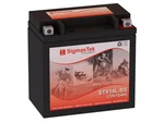 Harley-davidson 65959-04C Replacement Battery (200CCA) New. Price: $43.99.