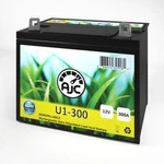 Ajc Battery Compatible With Kawasaki KRT800 TERYX4 Usa 800CC New. Price: $83.99.