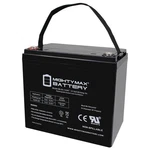 Mighty 12V 55AH Int Terminal Battery Compatible With Ultramax NP55-12 New. Price: $119.99.