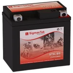 Sigmastek ST5L-BS Sla Battery Compatible W/ Honda 250CC NSS250 Reflex, 2010-2012 New. Price: $21.49.